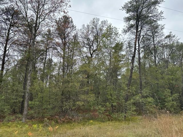 10ACRES W 6 Mile Rd, Grayling, MI 48738 - photo 5