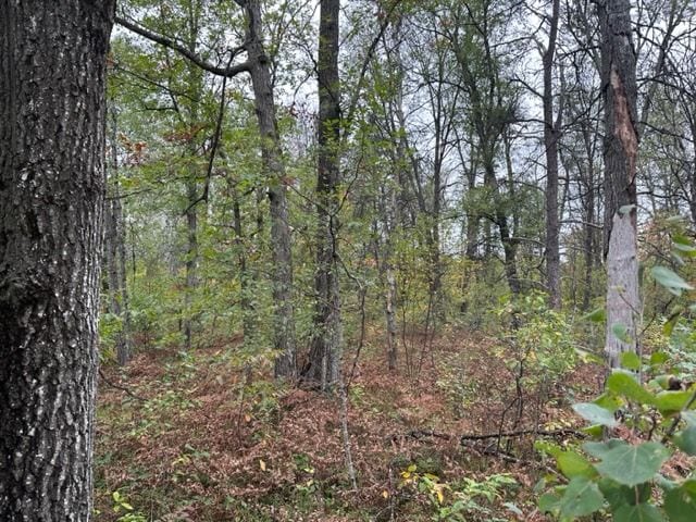 10ACRES W 6 Mile Rd, Grayling MI, 48738 land for sale