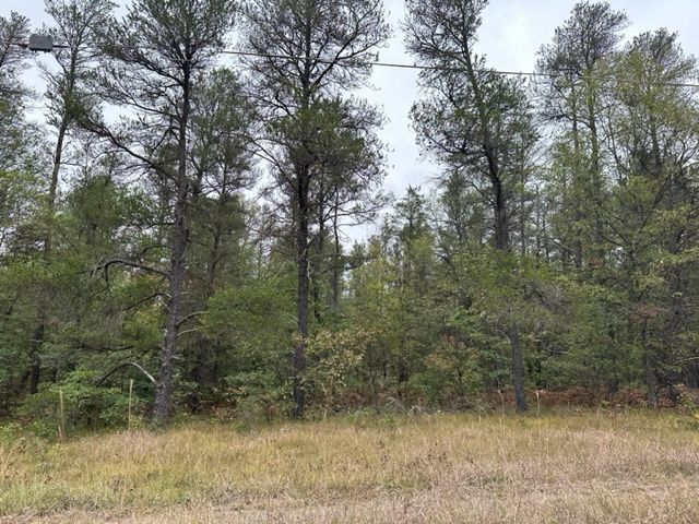 10ACRES W 6 Mile Rd, Grayling, MI 48738 - photo 6