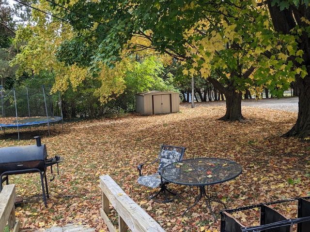 view of yard featuring a storage unit and a trampoline