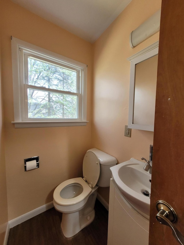 bathroom with vanity, wood-type flooring, and toilet