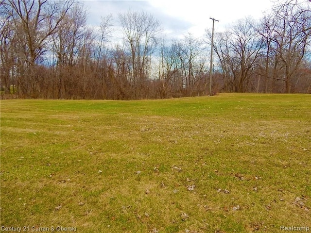 8848 Swan Creek Rd, Newport, MI 48166 - photo 4
