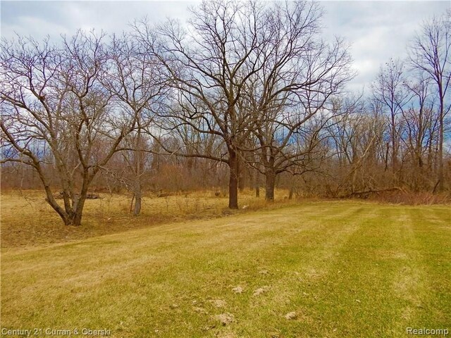 8848 Swan Creek Rd, Newport, MI 48166 - photo 5