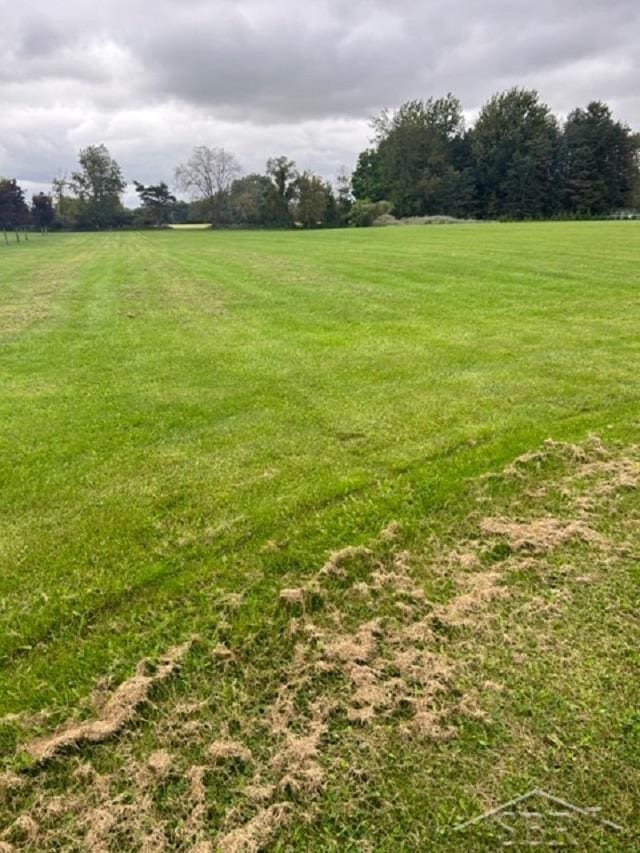 1 Alexander Ln, Vassar, MI 48768
