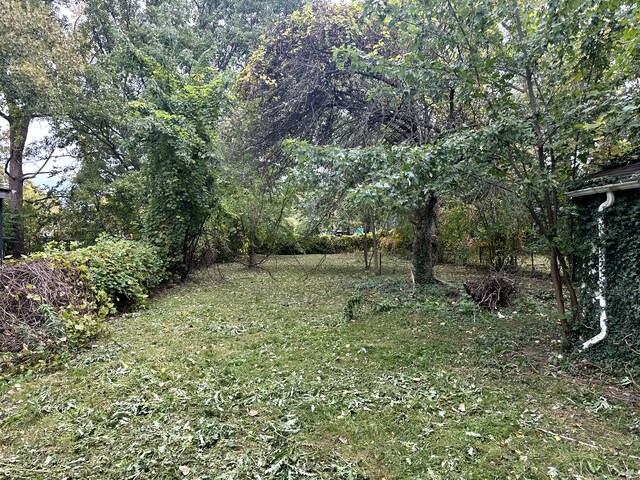 3950 Cadieux Rd, Detroit, MI 48224 - view of yard
