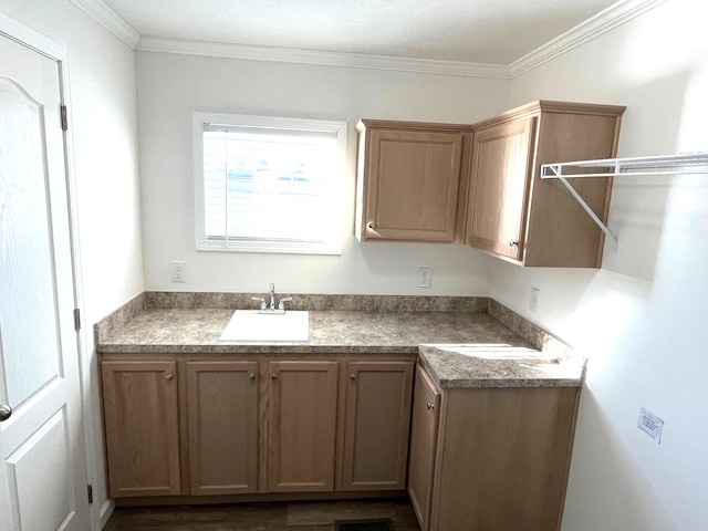 kitchen featuring crown molding and sink