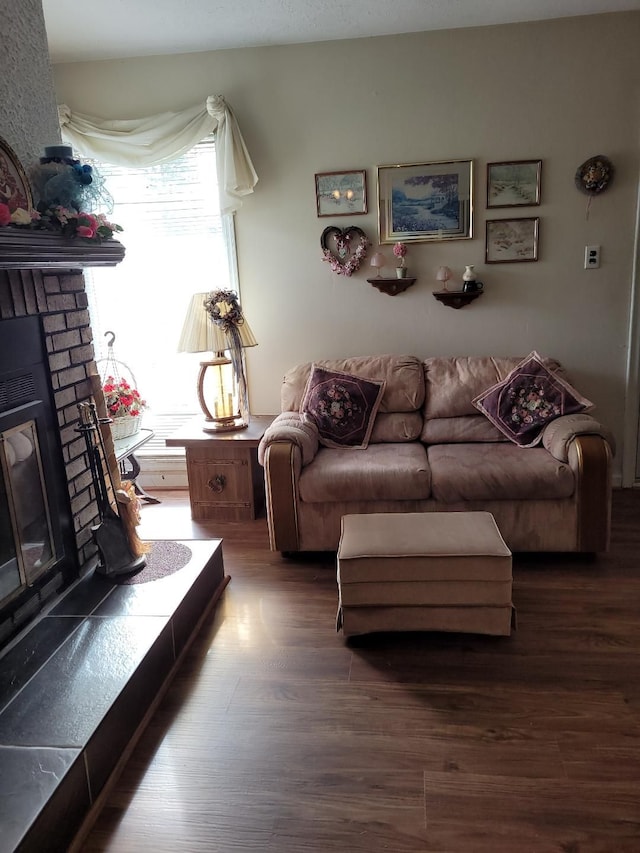 living room with a fireplace and dark hardwood / wood-style floors