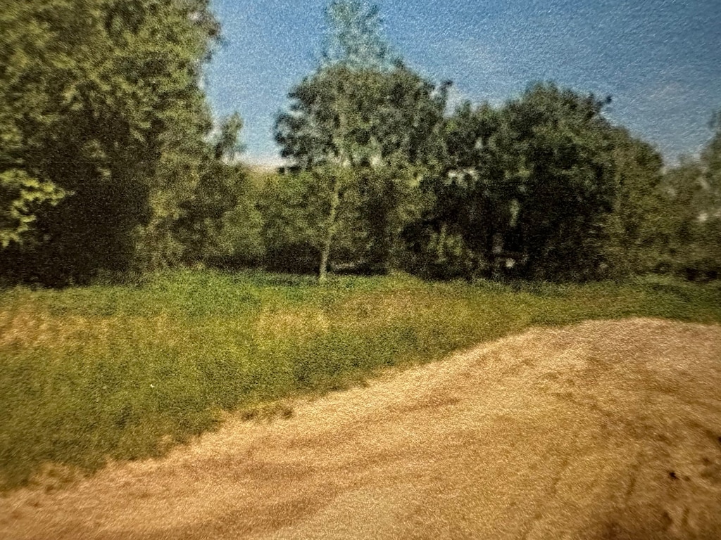 LOT9 Country Pride Ln, Imlay City, MI 48444