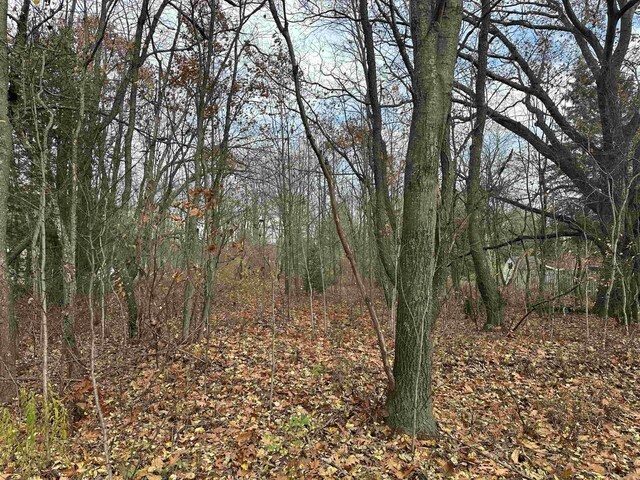 3203 Cecil Rd, Cadillac, MI 49601 - photo 10