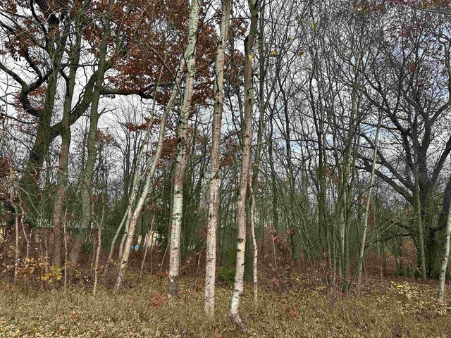3203 Cecil Rd, Cadillac, MI 49601 - photo 11