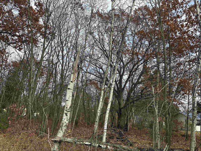 3203 Cecil Rd, Cadillac, MI 49601 - photo 12