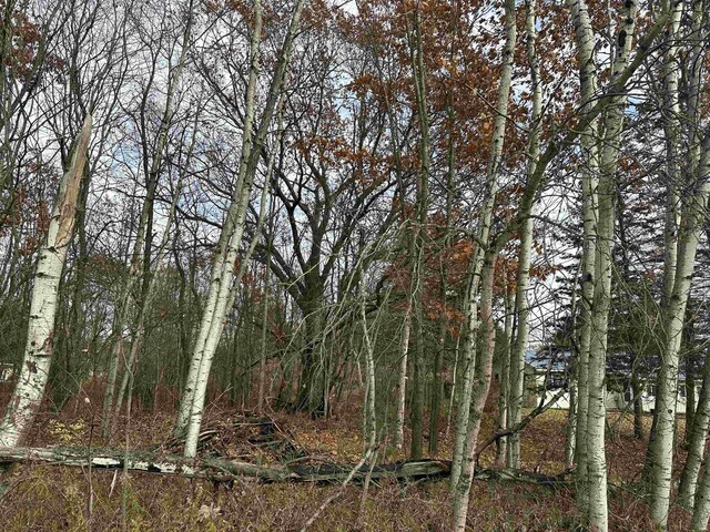3203 Cecil Rd, Cadillac, MI 49601 - photo 13