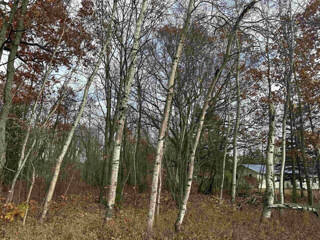3203 Cecil Rd, Cadillac, MI 49601 - photo 14
