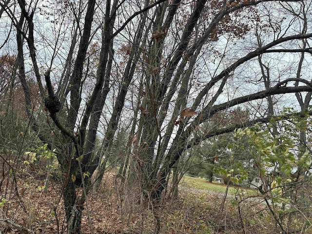 3203 Cecil Rd, Cadillac, MI 49601 - photo 2