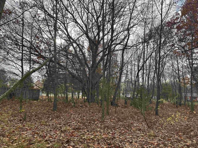 3203 Cecil Rd, Cadillac, MI 49601 - photo 3