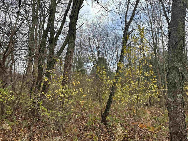 3203 Cecil Rd, Cadillac, MI 49601 - photo 5
