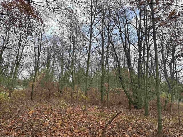 3203 Cecil Rd, Cadillac, MI 49601 - photo 7