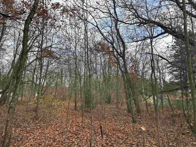 3203 Cecil Rd, Cadillac, MI 49601 - photo 8