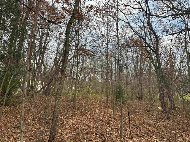 3203 Cecil Rd, Cadillac, MI 49601 - photo 9