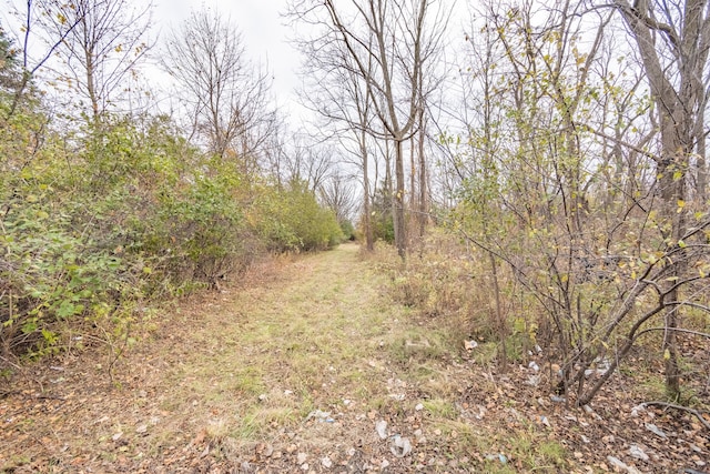 000 Michigan Ave, Belleville MI, 48111 land for sale