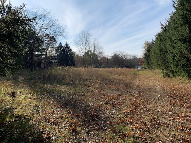 VACANT Merriman Rd, New Boston, MI 48164
