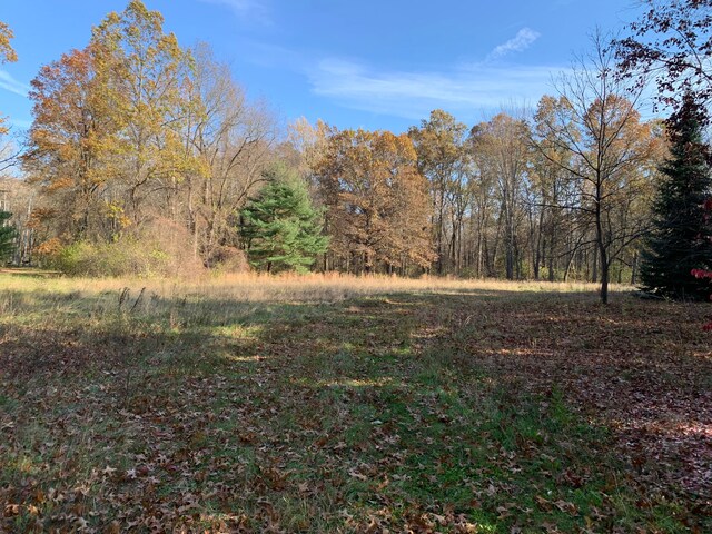 VACANT Merriman Rd, New Boston, MI 48164