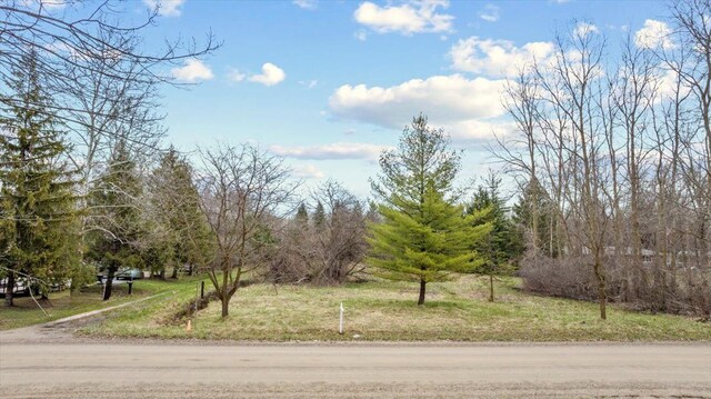 VACANT Merriman Rd, New Boston, MI 48164