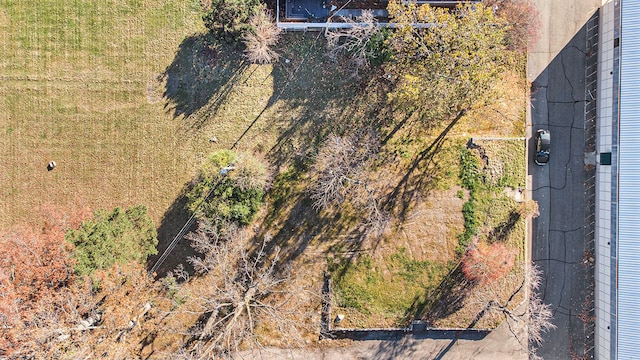 16133 Eureka Rd, Southgate, MI 48195