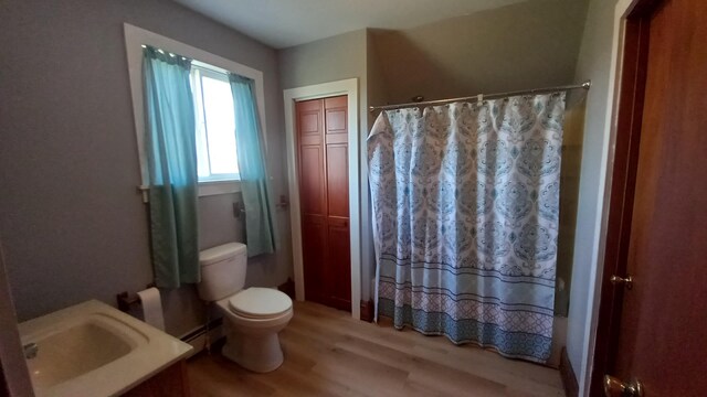 2540 S Dreyer Rd, Au Gres, MI 48703 - bathroom featuring wood finished floors, toilet, vanity, baseboard heating, and a shower with shower curtain
