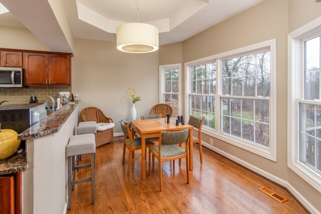 dining space with plenty of natural light, light hardwood / wood-style floors, and a raised ceiling