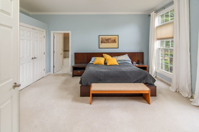 carpeted bedroom featuring crown molding and ensuite bath