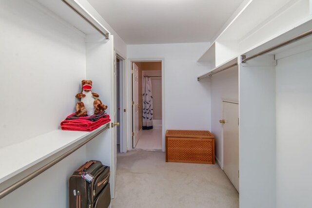 spacious closet with light colored carpet