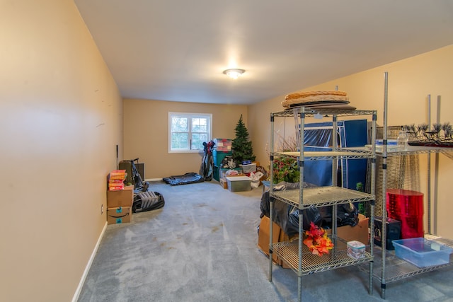 4090 Perryville Rd, Ortonville, MI 48462 - view of storage area