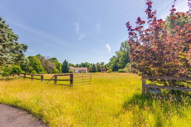 view of yard featuring a rural view