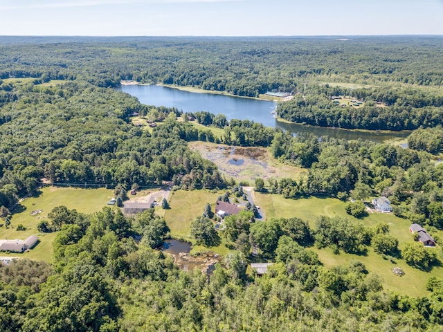 4090 Perryville Rd, Ortonville, MI 48462 - drone / aerial view of a forest and a large body of water