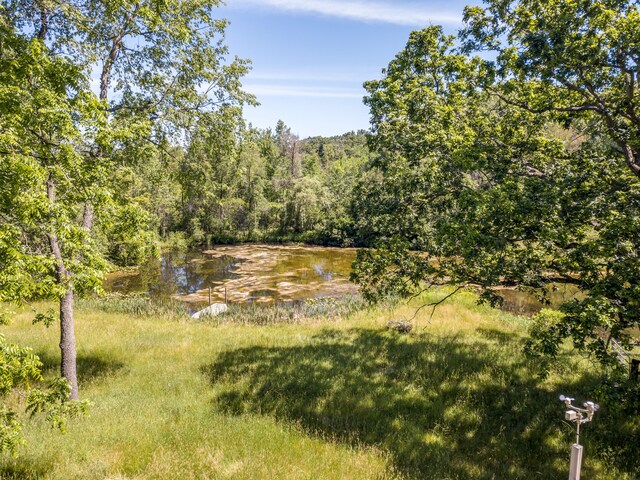 view of landscape featuring a water view