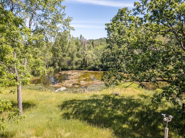 4090 Perryville Rd, Ortonville, MI 48462 - view of yard with a view of trees and a water view