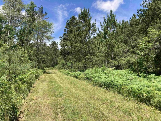 10420 E Newman Rd, Merritt, MI 49667 - photo 8