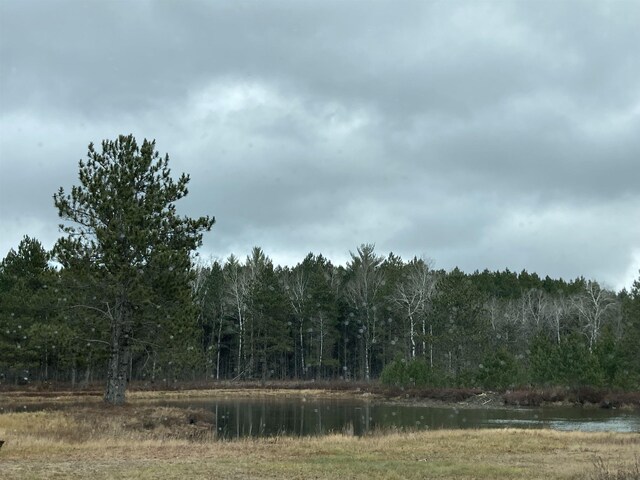 10420 E Newman Rd, Merritt, MI 49667 - photo 9