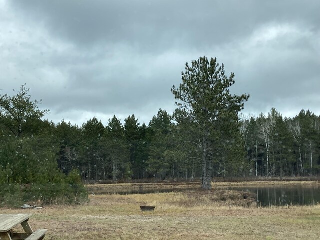 10420 E Newman Rd, Merritt, MI 49667 - photo 10