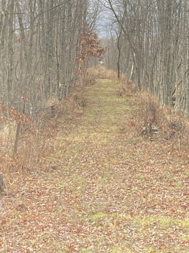 10420 E Newman Rd, Merritt, MI 49667 - photo 14