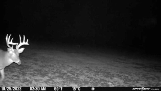 10420 E Newman Rd, Merritt, MI 49667 - photo 16