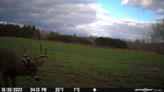 10420 E Newman Rd, Merritt, MI 49667 - photo 18