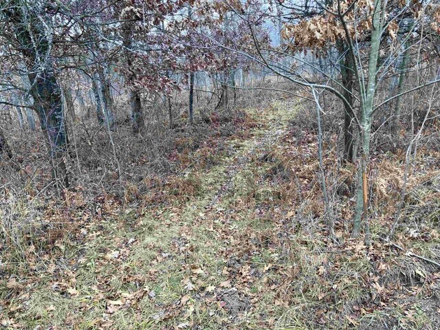 10420 E Newman Rd, Merritt, MI 49667 - photo 23