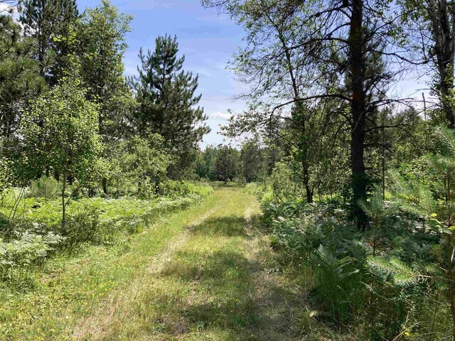 10420 E Newman Rd, Merritt, MI 49667 - photo 4