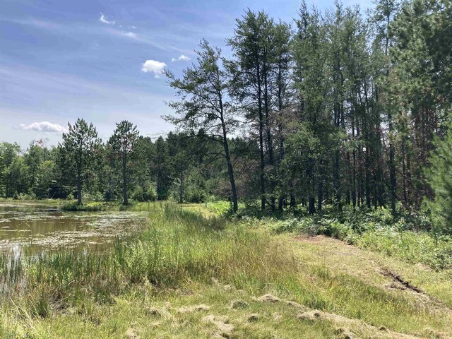 10420 E Newman Rd, Merritt, MI 49667 - photo 5