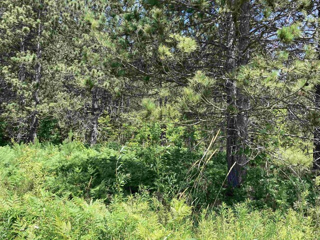 10420 E Newman Rd, Merritt, MI 49667 - photo 6