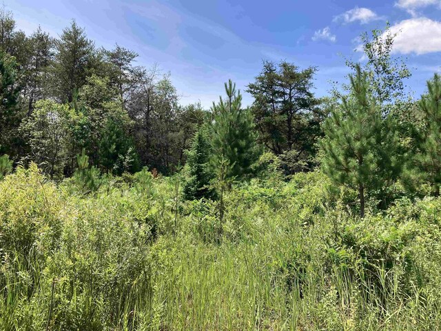 10420 E Newman Rd, Merritt, MI 49667 - photo 7