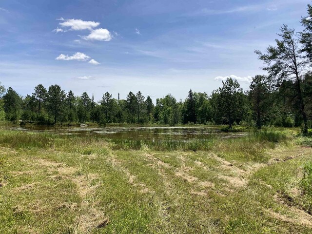 10420 E Newman Rd, Merritt, MI 49667 - photo 3