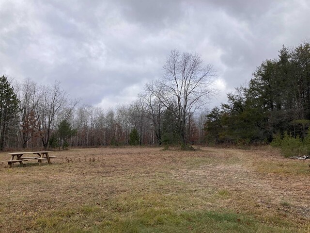 10420 E Newman Rd, Merritt, MI 49667 - photo 33